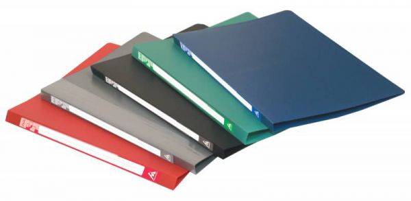 Папка на 2-х кольцах Бюрократ EC0418/2R А4 пластик 0.4мм корешок 18мм ассорти